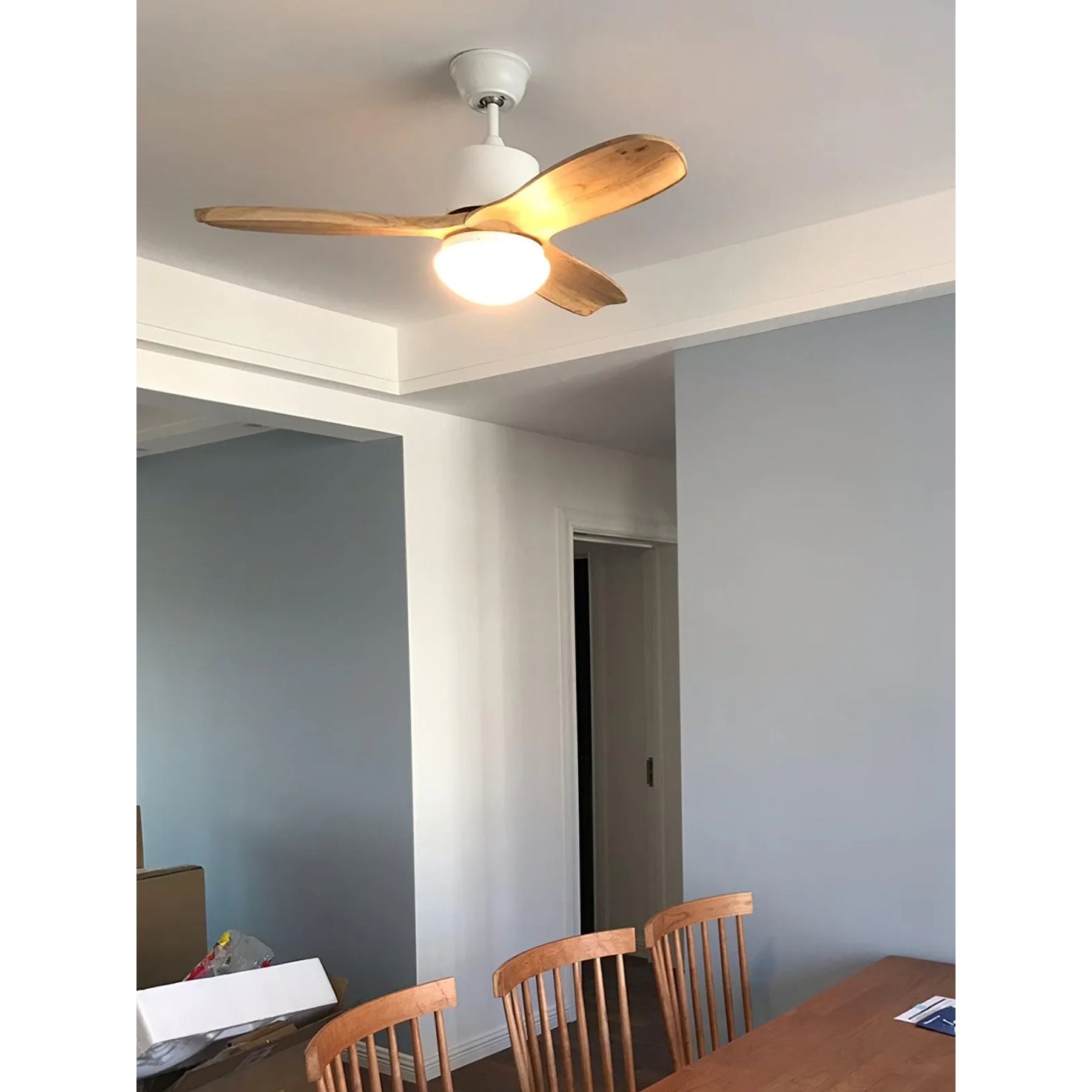 Barhoug LED Ceiling Fan