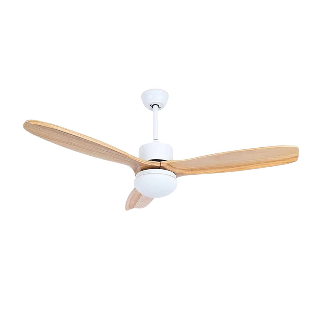 Barhoug LED Ceiling Fan
