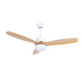 Barhoug LED Ceiling Fan