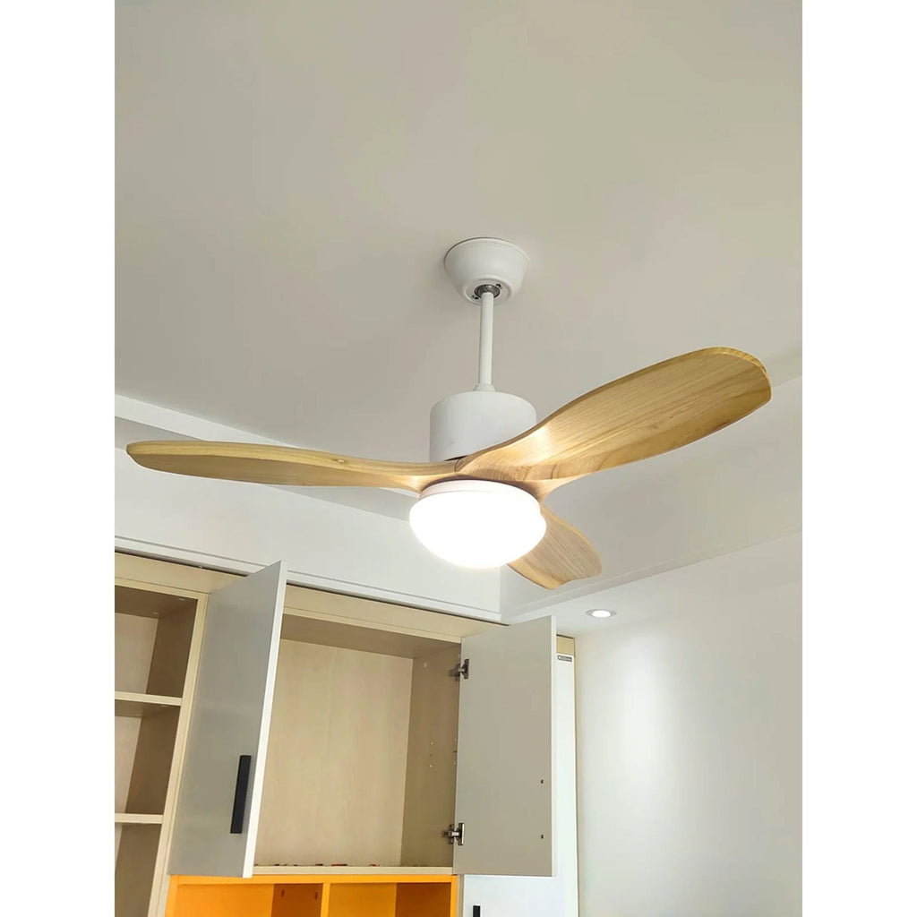 Barhoug LED Ceiling Fan