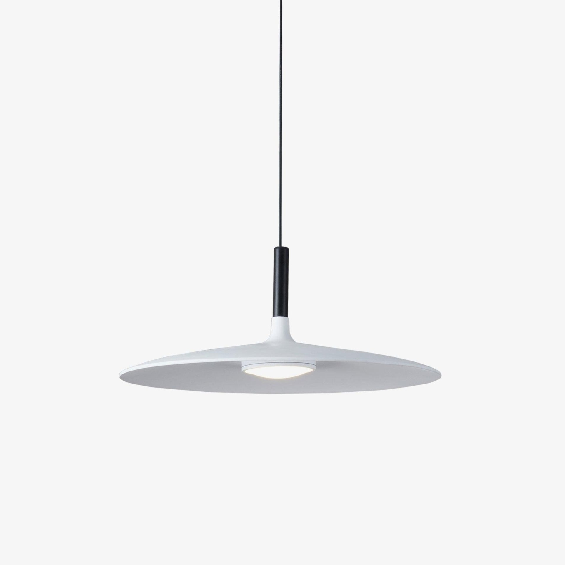 Alomb Metal Pendant Lamp