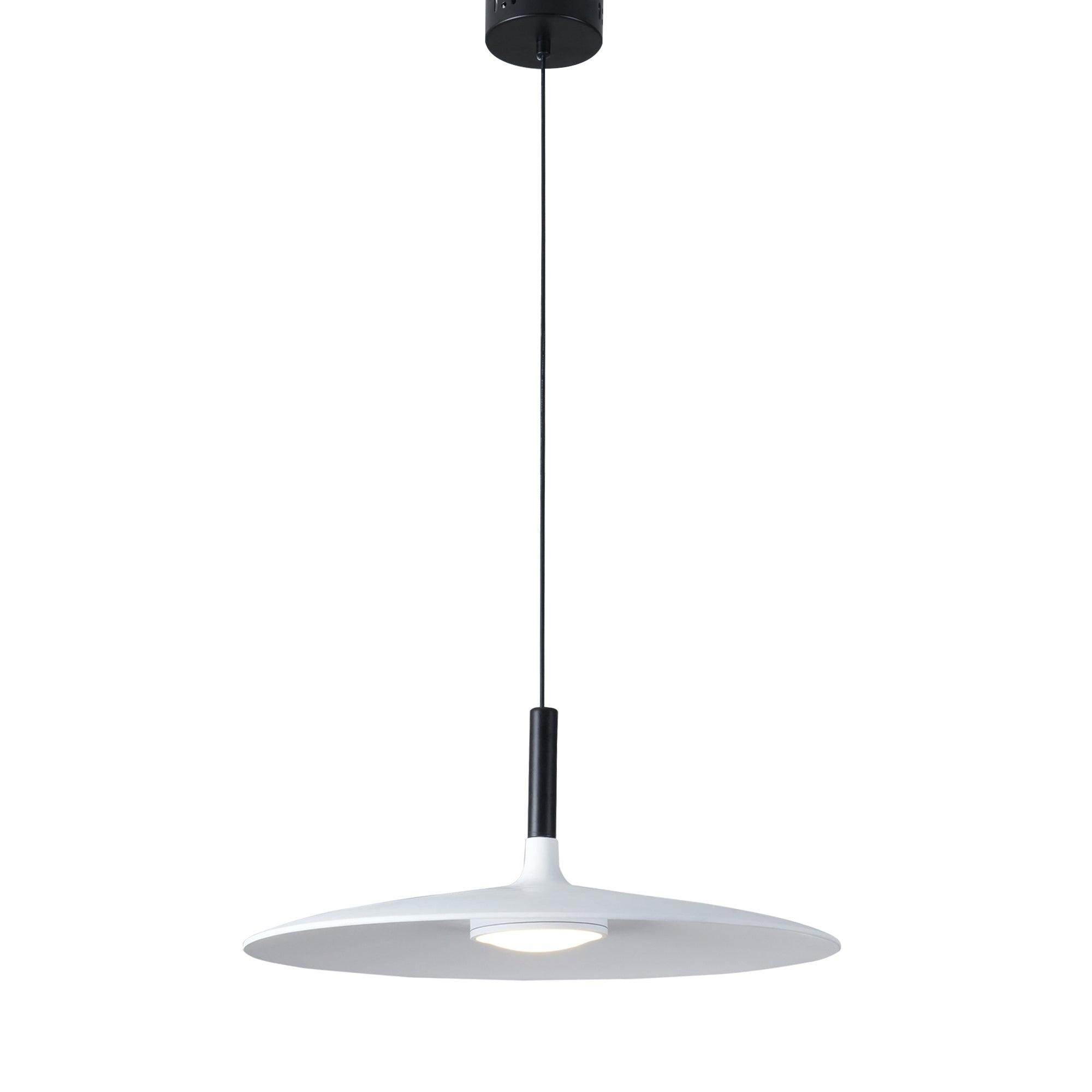 Alomb Metal Pendant Lamp