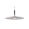 Alomb Metal Pendant Lamp