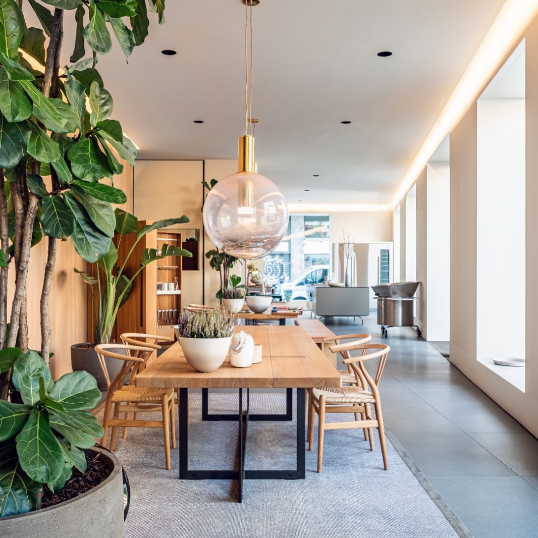 Aelisco Pendant Lamp