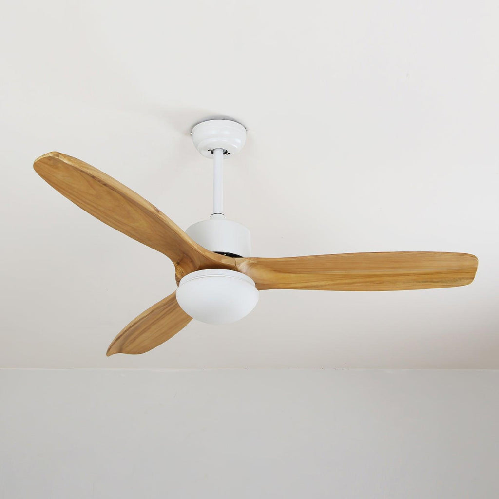 Barhoug LED Ceiling Fan