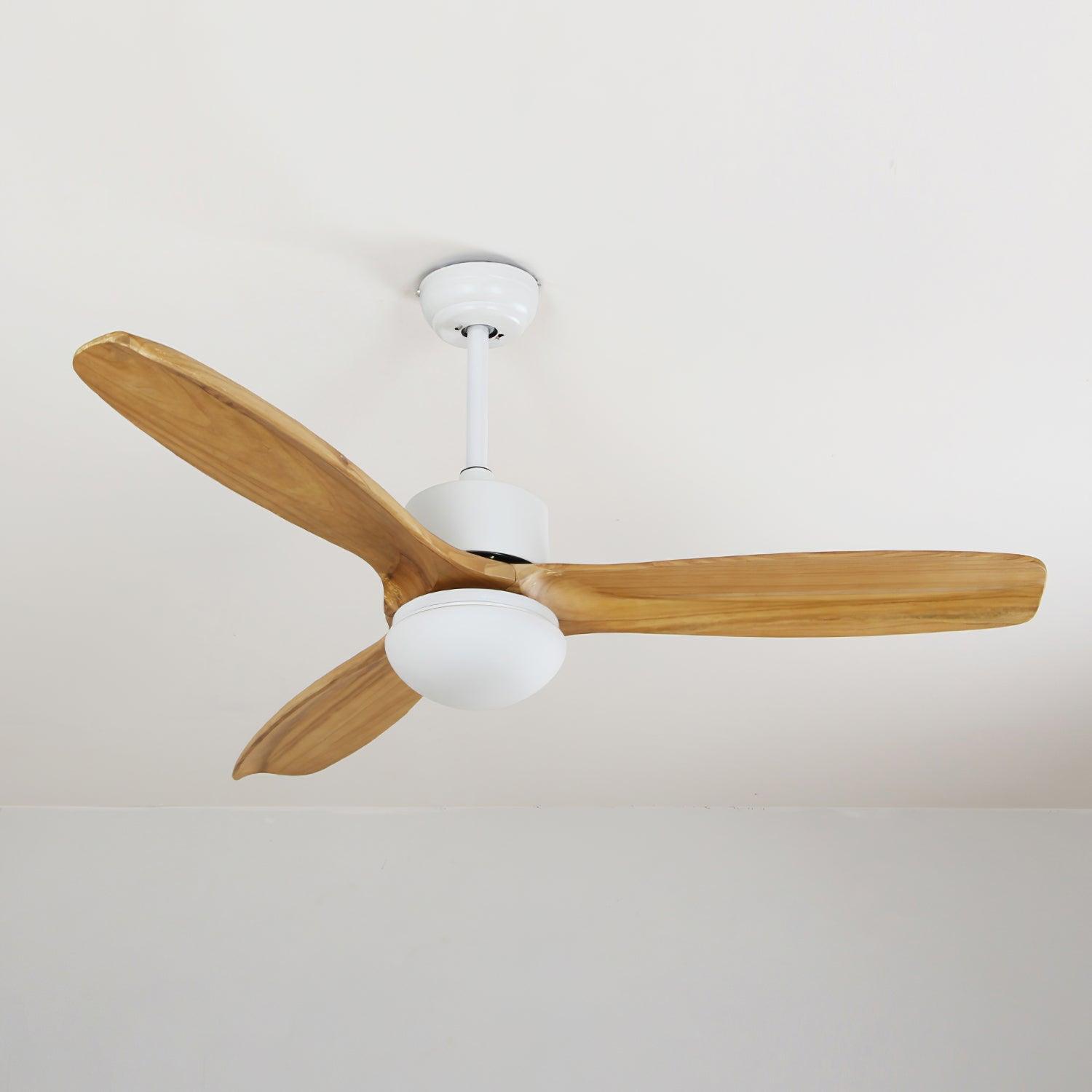 Barhoug LED Ceiling Fan
