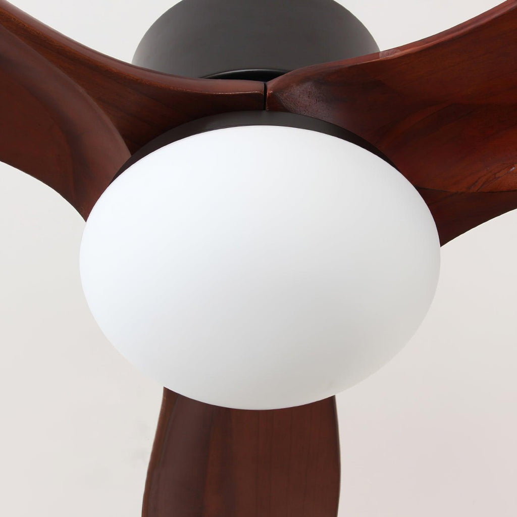 Barhoug LED Ceiling Fan
