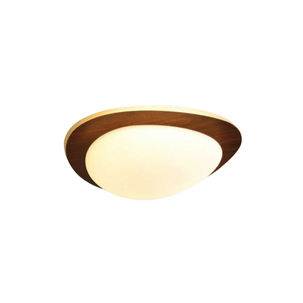 Avenlor Ceiling Lamp