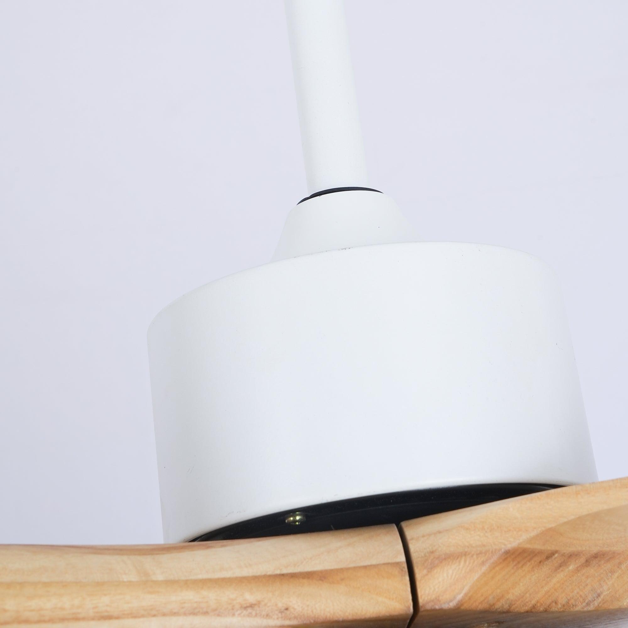 Barhoug LED Ceiling Fan