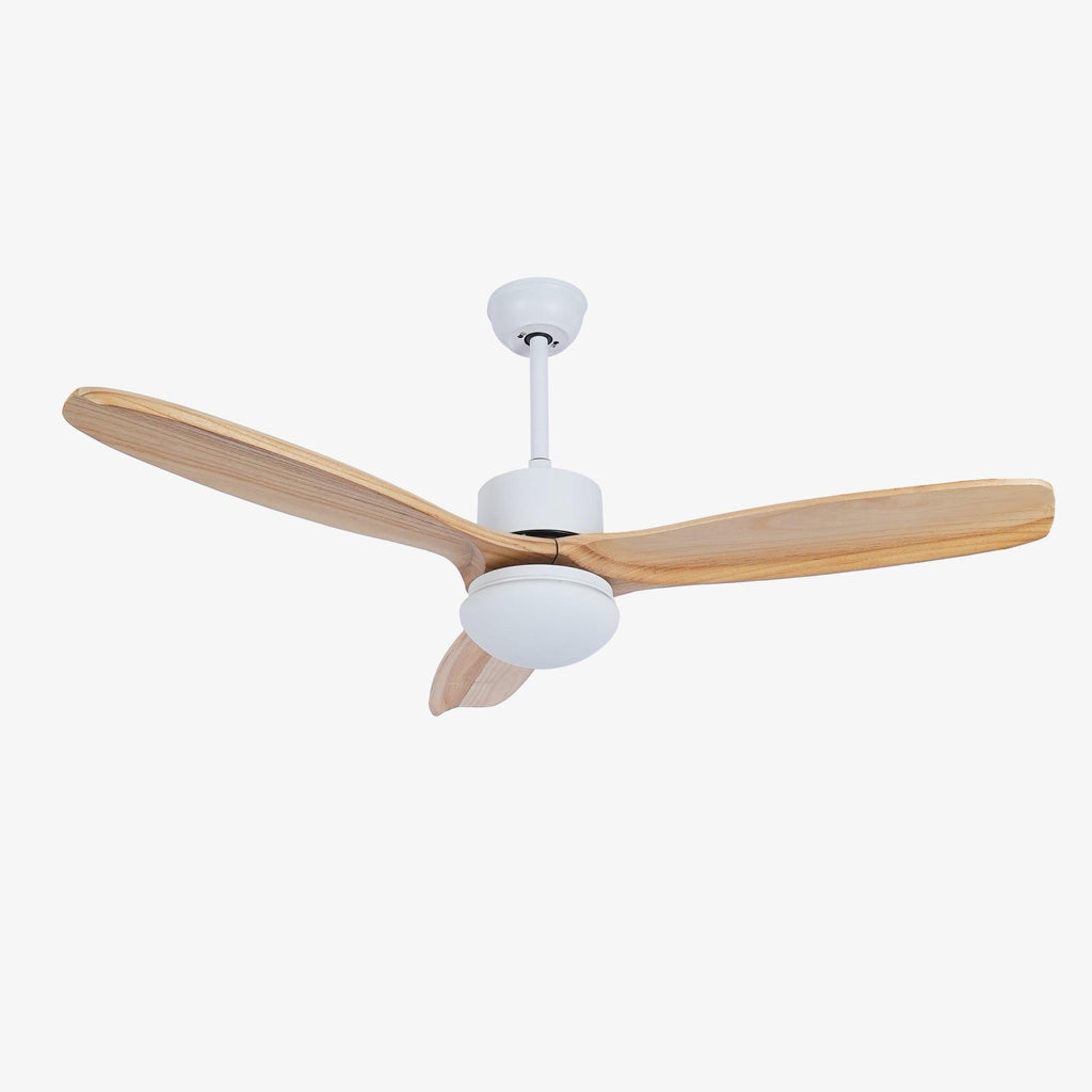 Barhoug LED Ceiling Fan